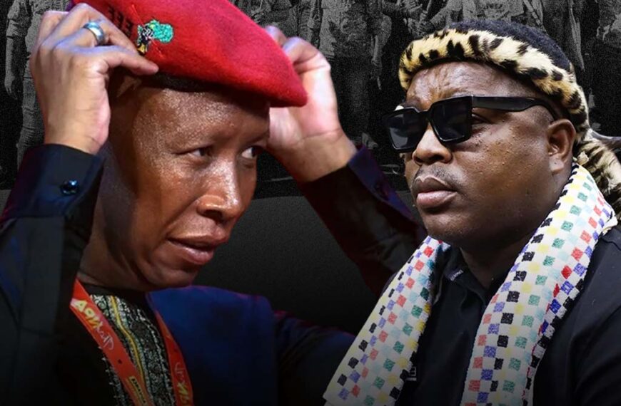 Malema intenton silencing Mchunu; distracting the movement