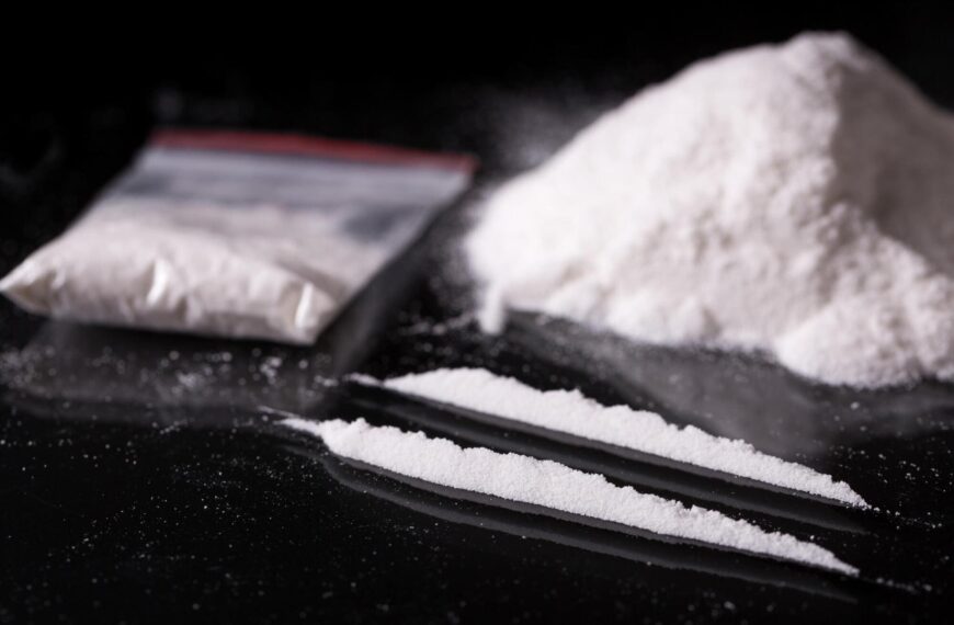 Beitbridge Billion-Rand Drug Bust: Evolving War on Syndicates